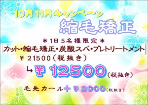 2015.11.縮毛キャンペーン
