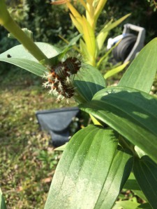 写真 2015-10-21 9 37 57