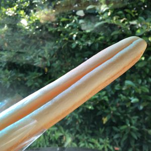 写真 2016-06-11 7 51 50