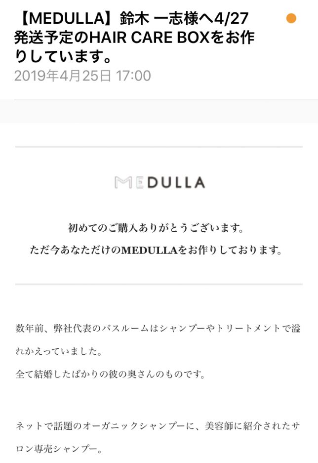 MEDULLAを購入して感じた５つのこと